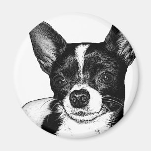 Party Chihuahua Magnet