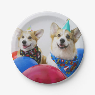 Party Corgis Paper Plates
