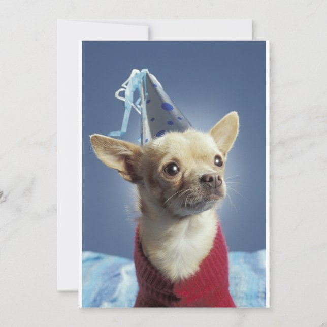 Party Dog Invitation (Front)