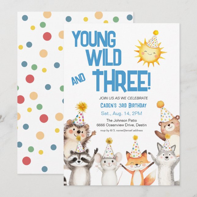 Party Forest Animals Party Hats 3rd Birthday Invitation (Front/Back)