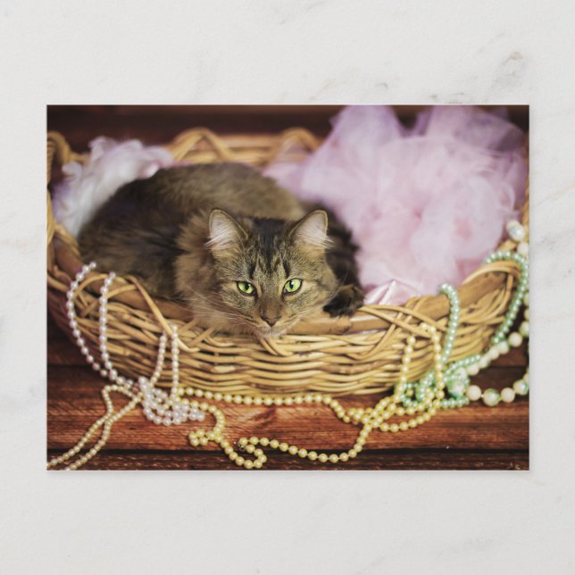 party girl postcard (Front)