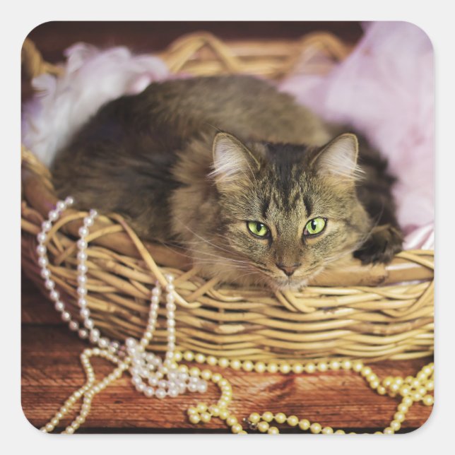 party girl stickers (Front)