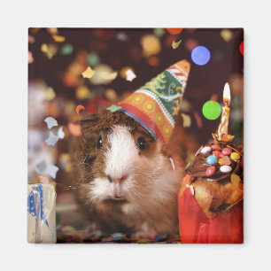 Party Guinea Pig Magnet