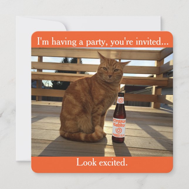 Party invitation featuring an orange cat (Front)