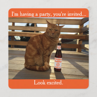Party invitation featuring an orange cat