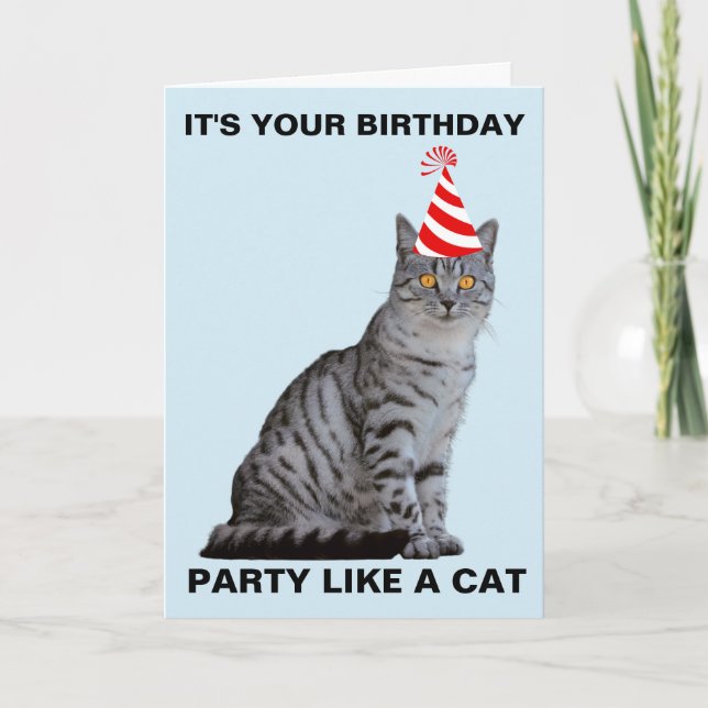 PARTY LIKE A CAT BIRTHDAY CARD (Front)