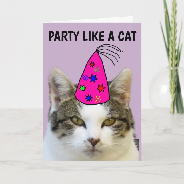 PARTY LIKE A CAT FUNNY BIRTHDAY CARDS (Front)