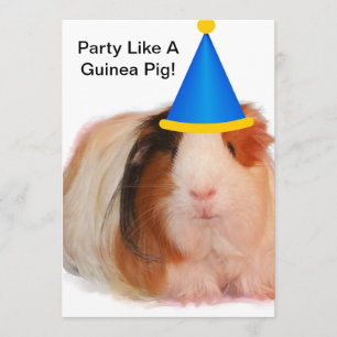 Party Like A Guinea Pig - Party Invitations