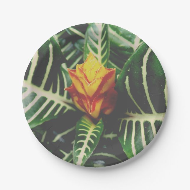 Party Paper Plates Tropical Vibes (Front)