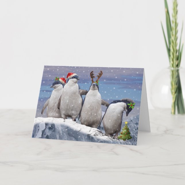 Party Pingos Christmas Card (blank message) (Front)