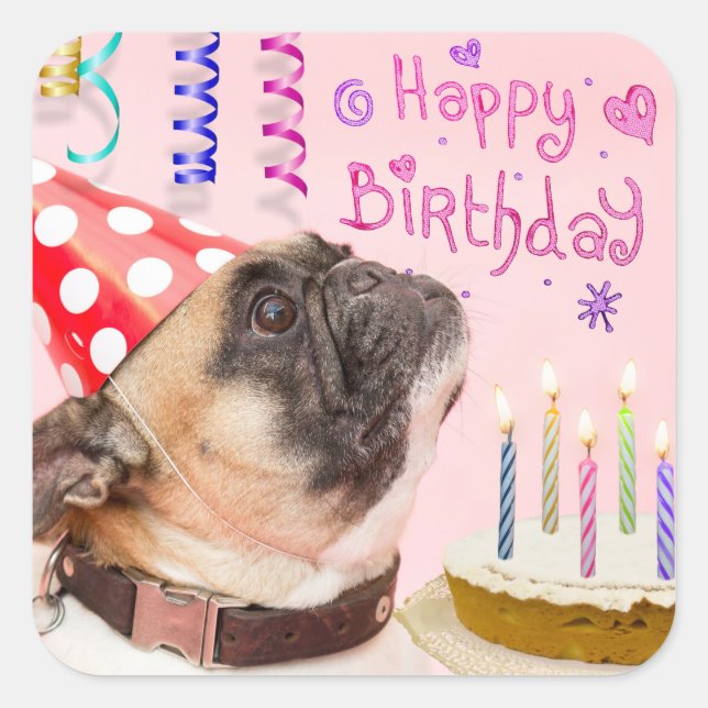 Party Pug and Birthday Cake Square Sticker (Front)