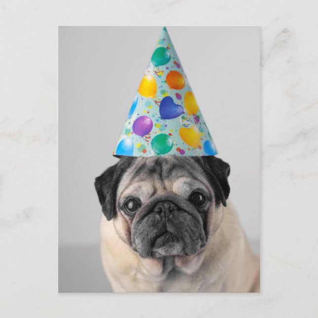 Party Pug Postcard (Front)