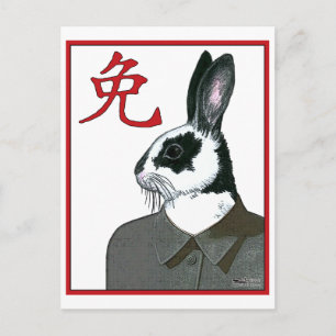 Party Rabbit Postcard