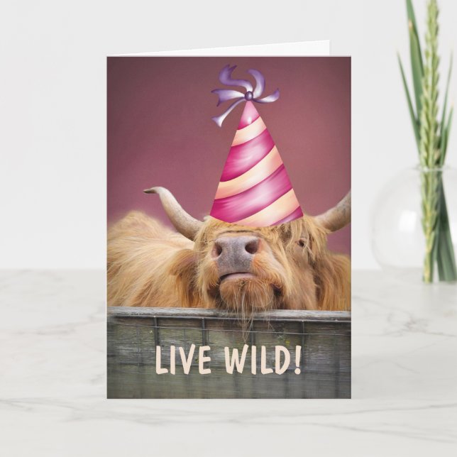 Party Steer Live Wild Birthday  Card (Front)