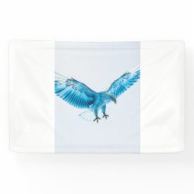 Party supplies and decor, back drops