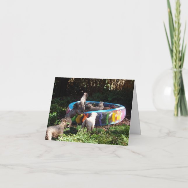 Party Time! Card (Front)