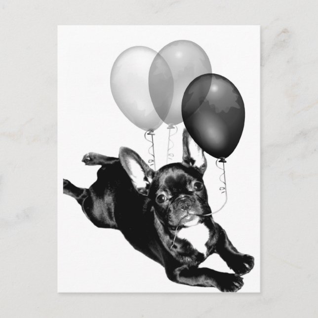 Party time French Bulldog postcard (Front)