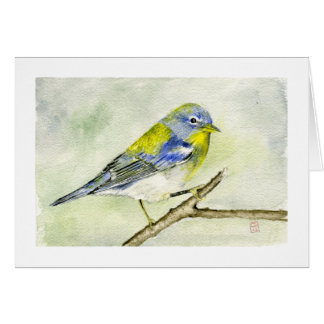 Parula du nord