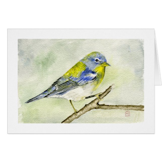 Parula du nord (Devant horizontal)