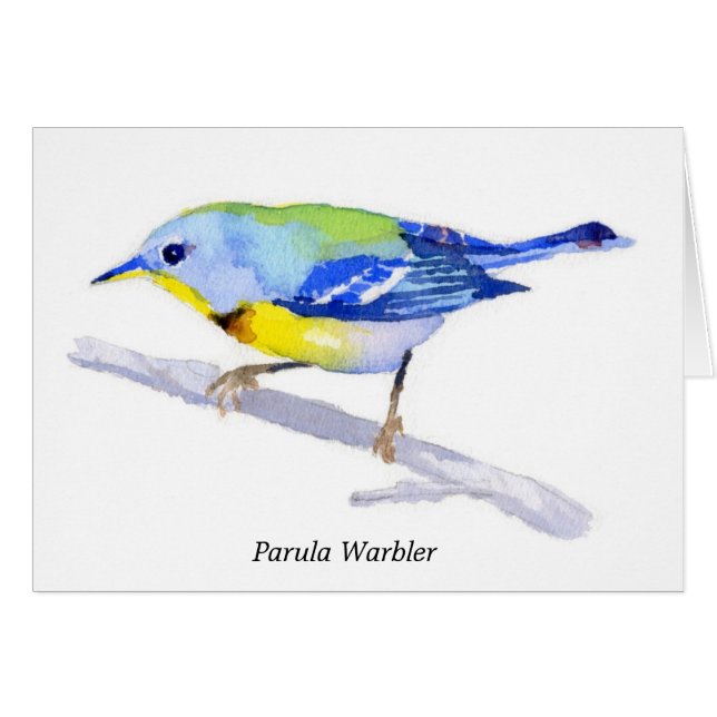 Parula Warbler (Front Horizontal)