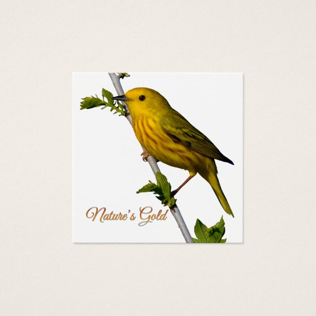 Paruline jaune "L’or de la nature" Carte d’art imp (Devant)