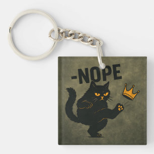 Pas De Rois En Amérique Chat Noir Drôle Kicking Cr