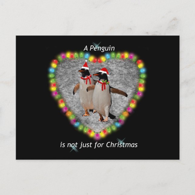 Pas seulement pour la carte postale de Noël (Devant)