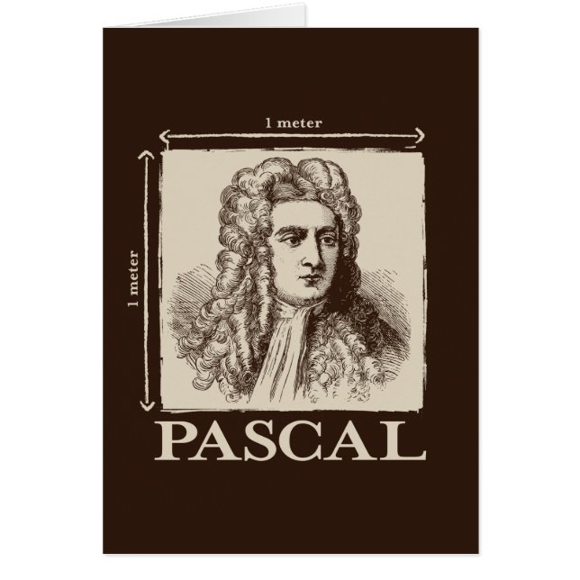 Pascal = 1 newton per square metre math joke (Front)