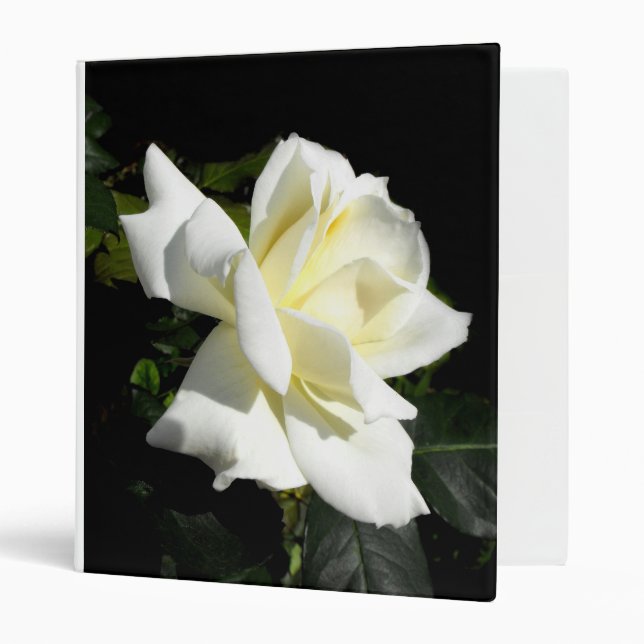 Pascali white hybrid tea rose binder (Front/Inside)