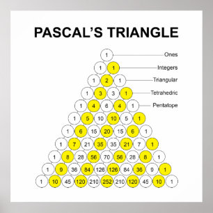 Pascal's Triangle With Labels Poster