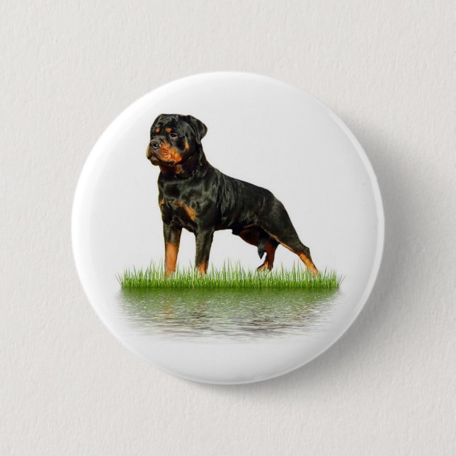 Pasha Earl Antonius 2 Inch Round Button (Front)