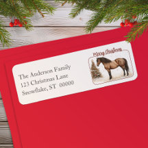 Paso Horse Merry Christmas Watercolor Return
