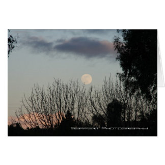 Paso Robles Ca