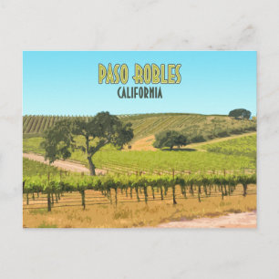 Paso Robles California Vineyard Vintage Postcard