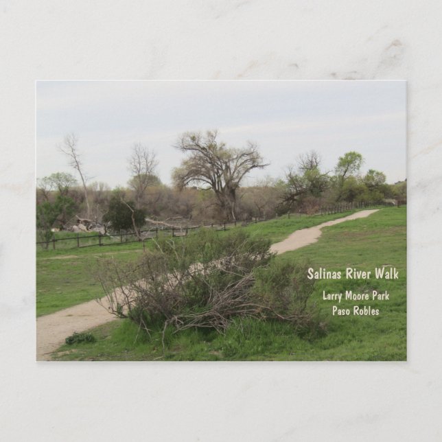 Paso Robles Salinas River Walk, Larry Moore Park Postcard (Front)