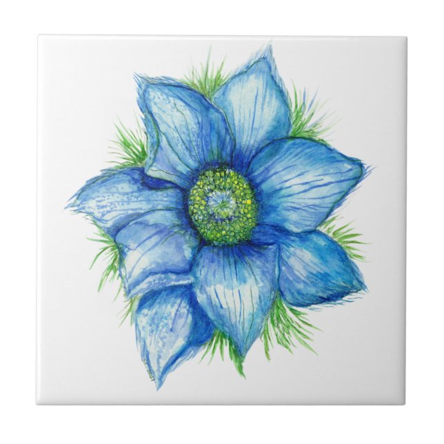 Pasque Flower in Blue Ceramic Tile (Front)