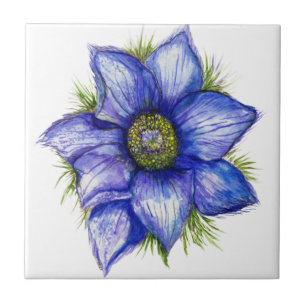 Pasque Flower in Blue Tile