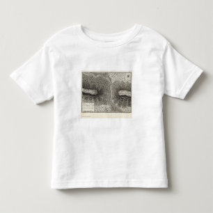 Passage of a Branch of the river Juniata Toddler T-shirt