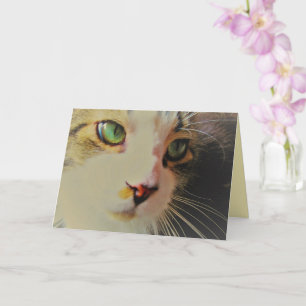 Passing Glance Cat with Green Eyes Card