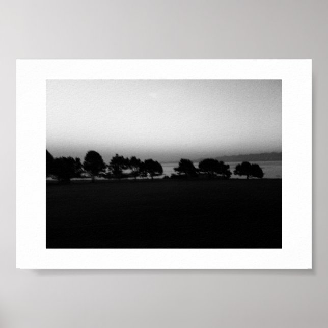 Passing Trees Canada Black and White Photography Poster (Front)