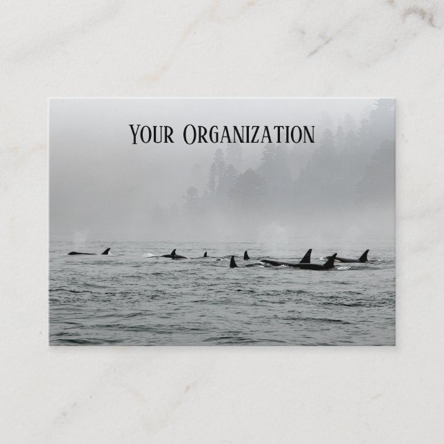 Passing Whales Business Card (Front)