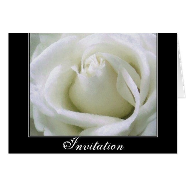 Passion _ (Devant Horizontal)