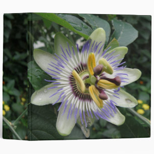 Passion Flower Avery Binder