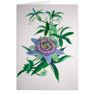 Passion Flower Botanical Art
