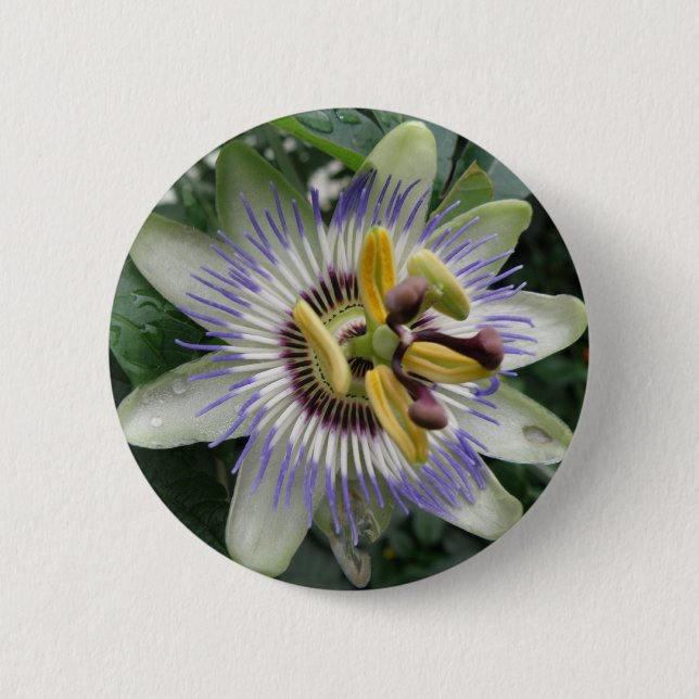 Passion Flower Button (Front)