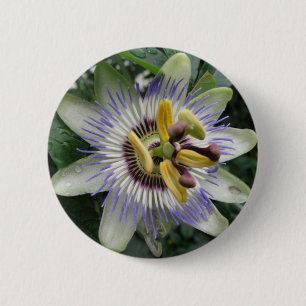 Passion Flower Button