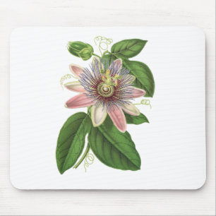 Passion Flower Flower Plant Blossom Bloom Mouse Pad
