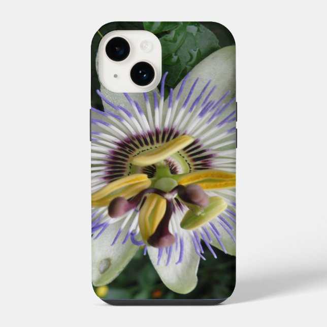 Passion Flower iPhone Case (Back)