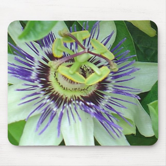 Passion Flower Mouse Pad (Front)