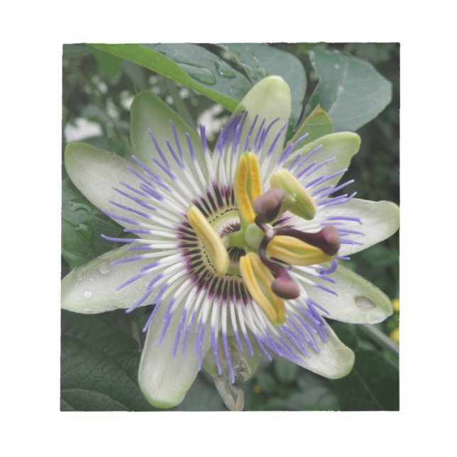 Passion Flower Notepad (Front)